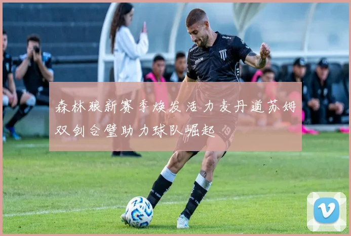森林狼新赛季焕发活力麦丹道苏姆双剑合璧助力球队崛起